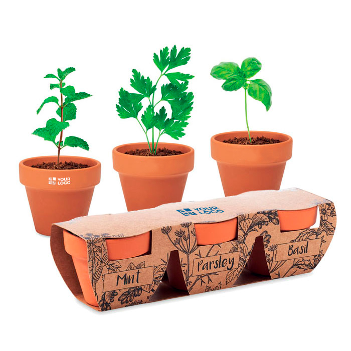 Pots de fleur avec logo et 3 herbes aromatiques