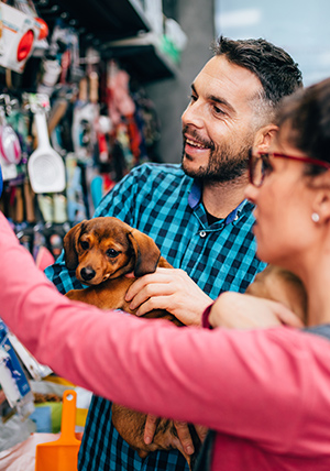 Polychrome Goods product